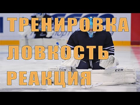 Видео: Как тренировать реакцию, упражнения на ловкость, тренировка с мячом для вратаря.
