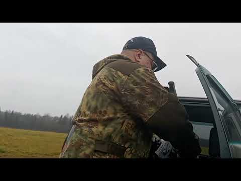 Видео: "Сайга" исп. 033, калибр 5.45х39. Не фень-шуй по кучности. В следующий раз исправлюсь