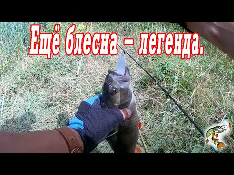 Видео: Блесна Шторлинг   еще одна легенда