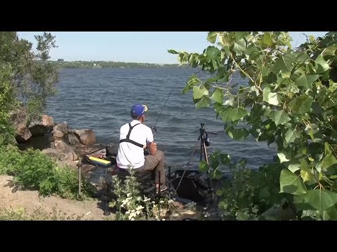 Видео: Ловим водохранилищного карася фидером. О рыбалке всерьез. Выпуск 392HD