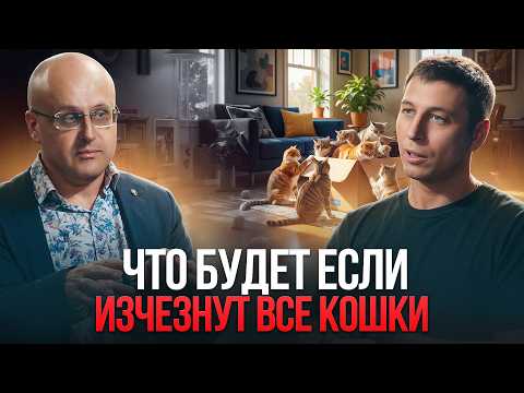 Видео: ВСЕ КОШКИ ИЗЧЕЗЛИ. ЧТО ИЗМЕНИТСЯ?