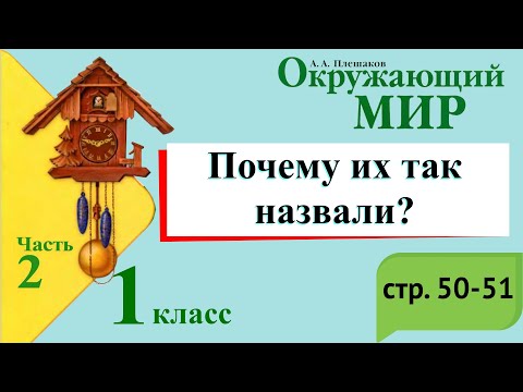 Видео: Почему их так назвали? Окружающий мир. 1 класс, 2 часть. Учебник А. Плешаков стр. 50-51