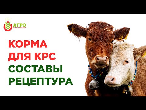 Видео: Как делать корма для крупного рогатого скота. Примеры составов кормов.