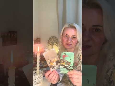 Видео: Ваша история🤵🤵👸❤️‍🩹🤺