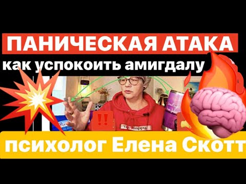 Видео: ПАНИЧЕСКИЕ АТАКИ:КАК УСПОКОИТЬ АМИГДАЛУ? Двусторонняя стимуляция (bilateral stimulation)(146)
