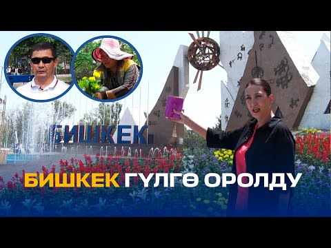 Видео: БИШКЕК ГҮЛГӨ ОРОЛДУ