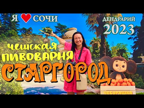 Видео: Дендрарий в Сочи. Пивоварня Старгород - Такого Мы Ещё Не Видели. Сочи, лето 2023