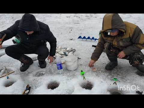 Видео: ПредНовогодняя рыбалка на р.Лепсы 29.12.2021г.
