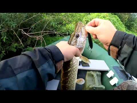 Видео: Рыбалка/ в тульской области/р. упа