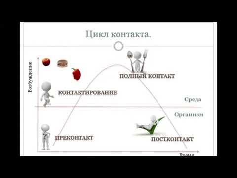 Видео: 6. Потребности. Цикл контакта. Прерывания контакта