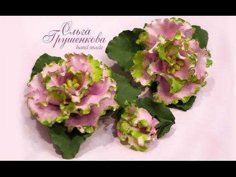 Видео: Фиалка Ле - роза ветров МК