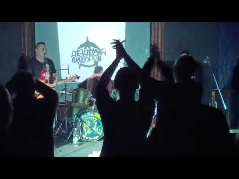 Видео: На моей майке Летов - Дездемон Сидоров и Товарищи / Бар Флэт 209