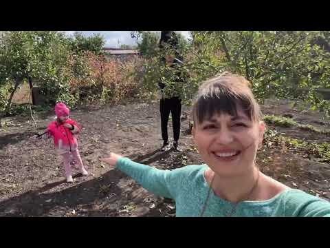 Видео: 🔴 ВСТРЕЧА СОРВАЛАСЬ❗️РУКИ ОПУСКАЮТСЯ ☝️НО МЫ НЕ СДАЕМСЯ 