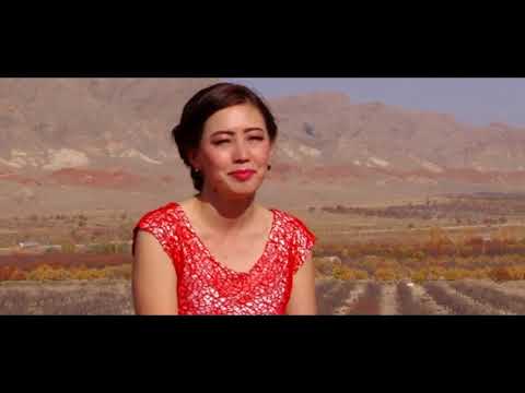 Видео: Чыныгул Эргашова Жалжалым