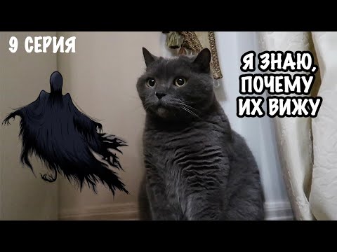 Видео: КОШАЧЬЯ ИСТОРИЯ УЖАСОВ ПОСЛЕДНЯЯ СЕРИЯ | ТАЙНА РАСКРЫТА!
