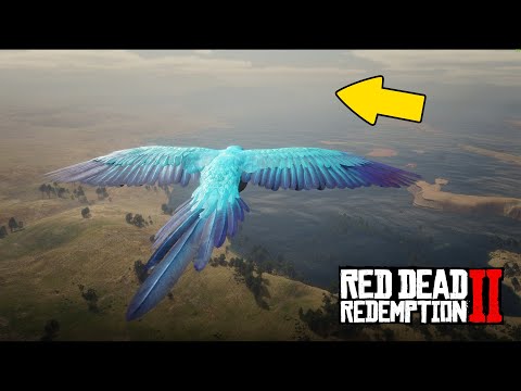 Видео: ЧТО БУДЕТ ЕСЛИ СТАТЬ ПТИЦЕЙ И УЛЕТЕТЬ ЗА КРАЙ КАРТЫ - RDR 2 [Выпуск #15]