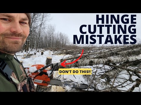 Видео: 5 главных ошибок при «нарезке петель»