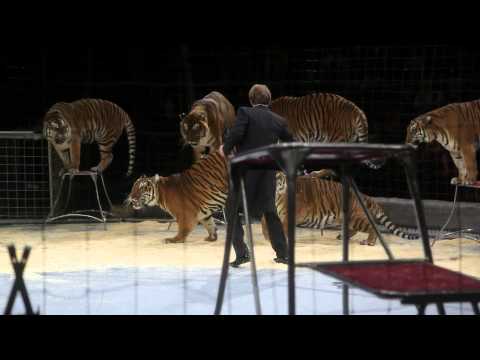 Видео: «Легенды цирка с Эдгардом Запашным» — дрессировщик хищников Николай Павленко