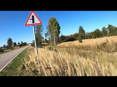 Видео: Канава вдоль дороги это как лотерея, найдешь или нет... коп металлолома