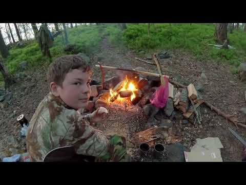 Видео: Ладога жизнь в лесу