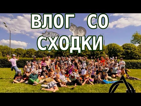 Видео: ВЛОГ СО СХОДКИ|квдаробика|теффи|сходкаквадроберов
