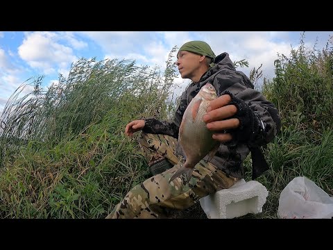 Видео: Студёный ветер в лицо.Простыми словами Рыбалка.