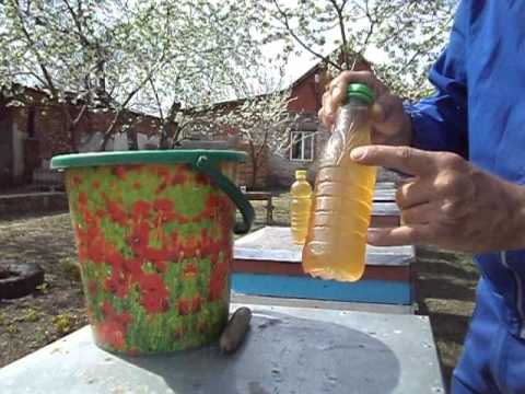 Видео: Потолочная кормушка из пластиковой бутылки. Стимуляция. Наращиваем пчелу на акацию.