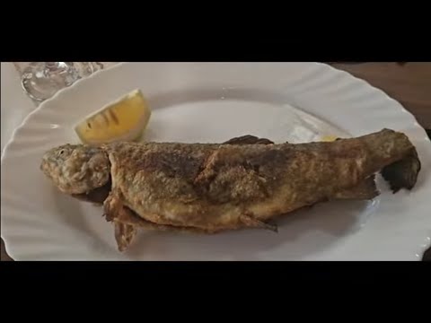 Видео: г. Банско  рыбный ресторан "Язовир Кринец"