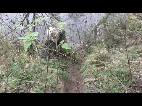 Видео: Попытка установки КП=250 как ногозахват