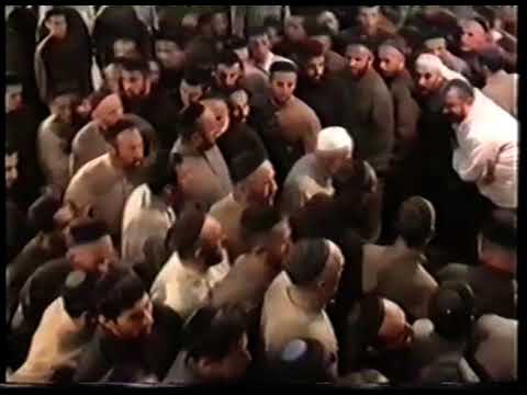 Видео: Саламбек