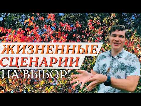 Видео: Жизненные сценарии: Ожирение печени у худых, Карнивор диета и реальность, гипотиреоз и дегенерация
