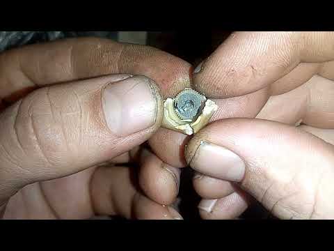 Видео: разбор по годам сп3 39а  сколько выйдет бегунков