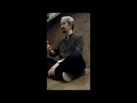 Видео: Беседы о Тайцзицюань - В.Шигорин - часть 1. В чем смысл практики Чжан-чжуан - Столбовое стояние.