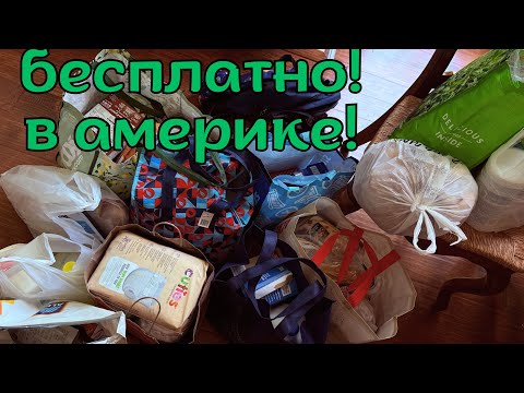 Видео: Дают любому, кто заберет!
