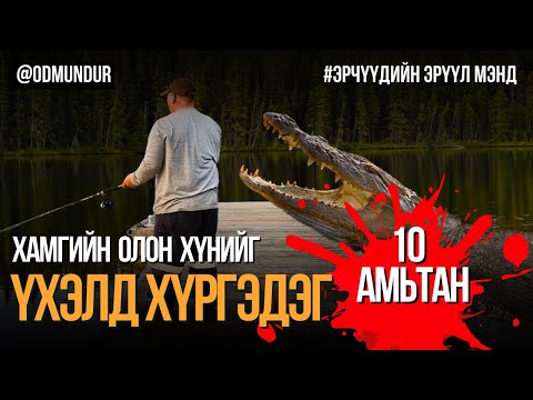 Видео: Хамгийн олон хүнийг үхэлд хүргэдэг 10 амьтан - ТОП 10