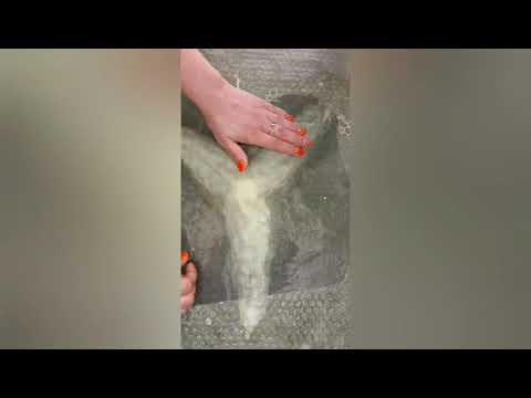 Видео: Мастер класс валяние цветка Нарцисс Часть 1