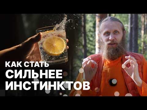 Видео: Упаваса — практика высоких состояний. Как победить инстинкты и обрести харизму?