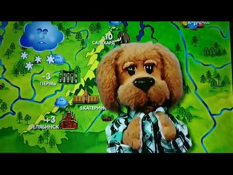 Видео: Погода на канале карусель эфир от 29.10.18