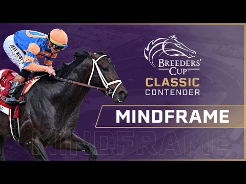 Видео: В центре внимания: Кубок заводчиков 2025 года: классический турнир — MINDFRAME