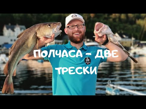 Видео: Треска чуть не утащила меня в воду!!!! Рыбалка в Норвегии! Ловля трески на креветку! Морская рыбалка