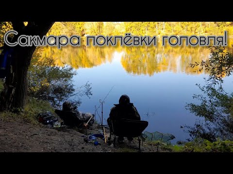 Видео: Сакмара голавль встал на точку !