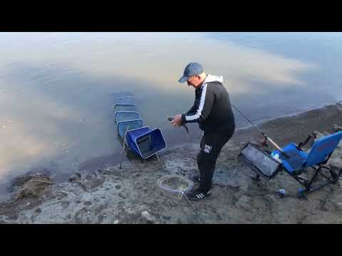 Видео: Старый опытный рыбак обловил двоих молодых — Фидер Омск [Мобильная рыбалка] #OmskFish