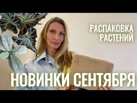 Видео: Новые растения в коллекции. Любимые растения сентября, часть 2