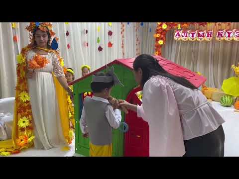 Видео: Аянат #cat