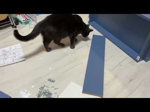 Видео: Инструкция по сборке комода. Комод Венеция.