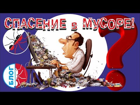 Видео: Муравьи Messor structor. МУСОР КАК СПАСЕНИЕ!