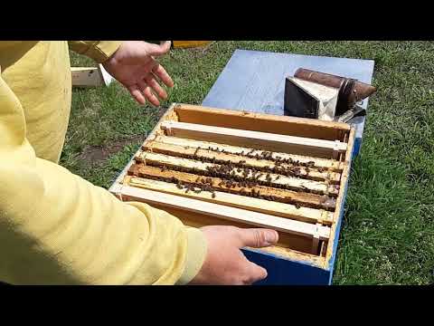 Видео: Расширяю Карпатку вторым корпусом.