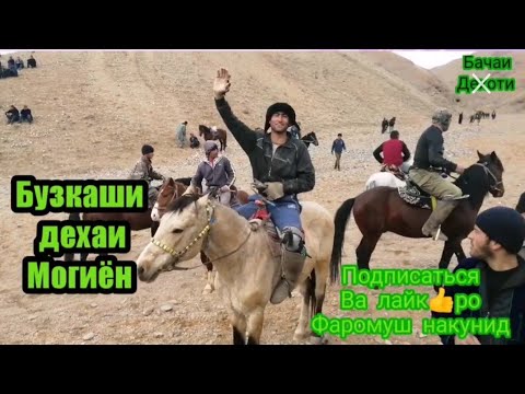 Видео: Могиён Бузкаши улок #подписаться#лайк#монид   💪💪☝️☝️🇹🇯🇹🇯👍👍👍👍