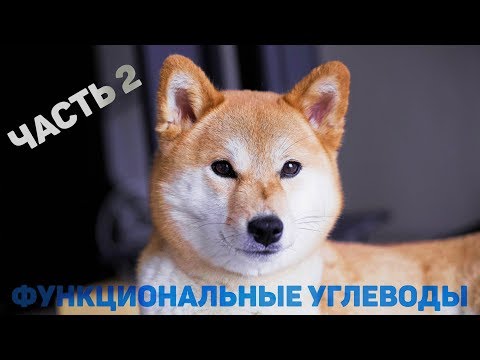 Видео: Функциональные углеводы для собак