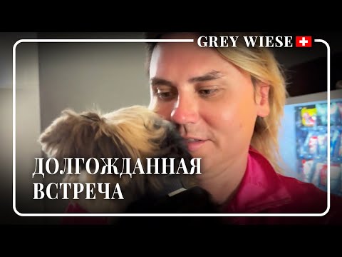 Видео: Мы в Швейцарии 🇨🇭забрали Люсю